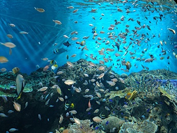 久し振りに・・・